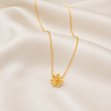 Daisy Flora
