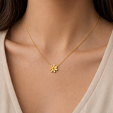 Daisy Flora