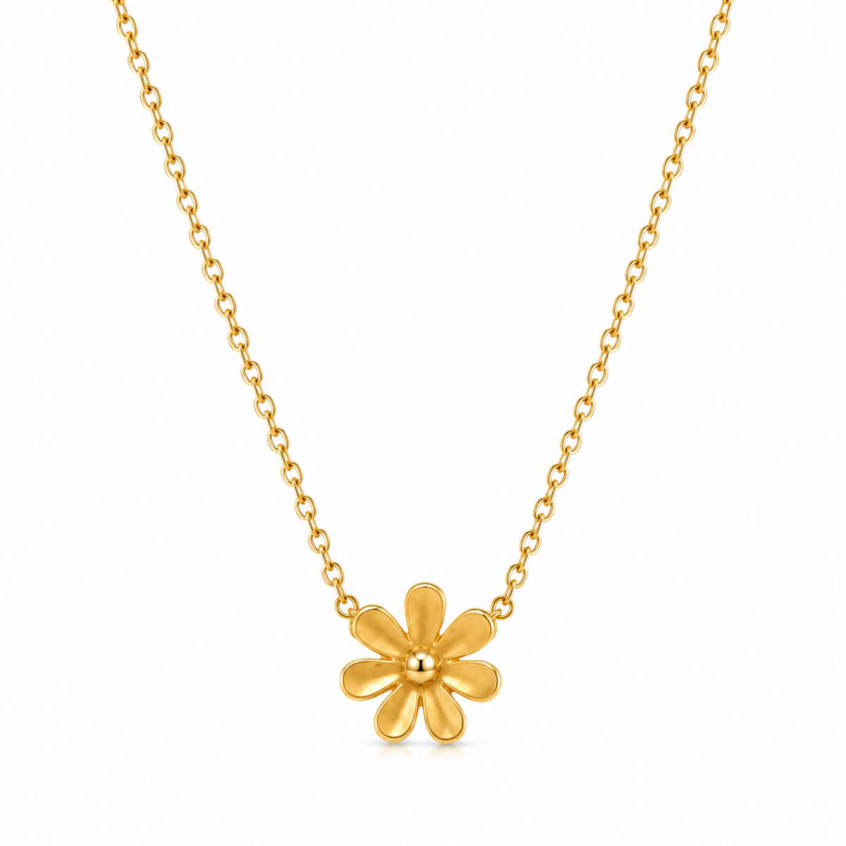 Daisy Flora