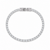 Silver Radiance